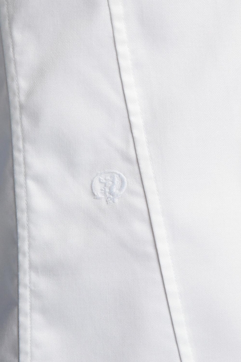 Cast Iron long sleeve shirt cobra